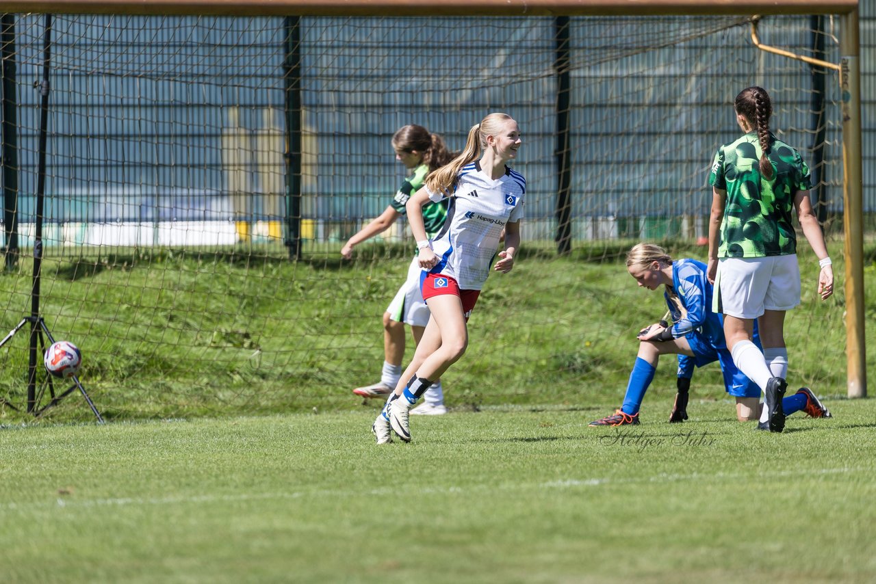 Bild 166 - wBJ Hamburger SV - VfL Wolfsburg : Ergebnis: 5:1